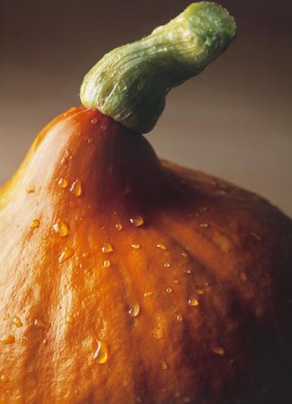 Pumpkin, bookproject 'Groente' by Stichting Kunstboek