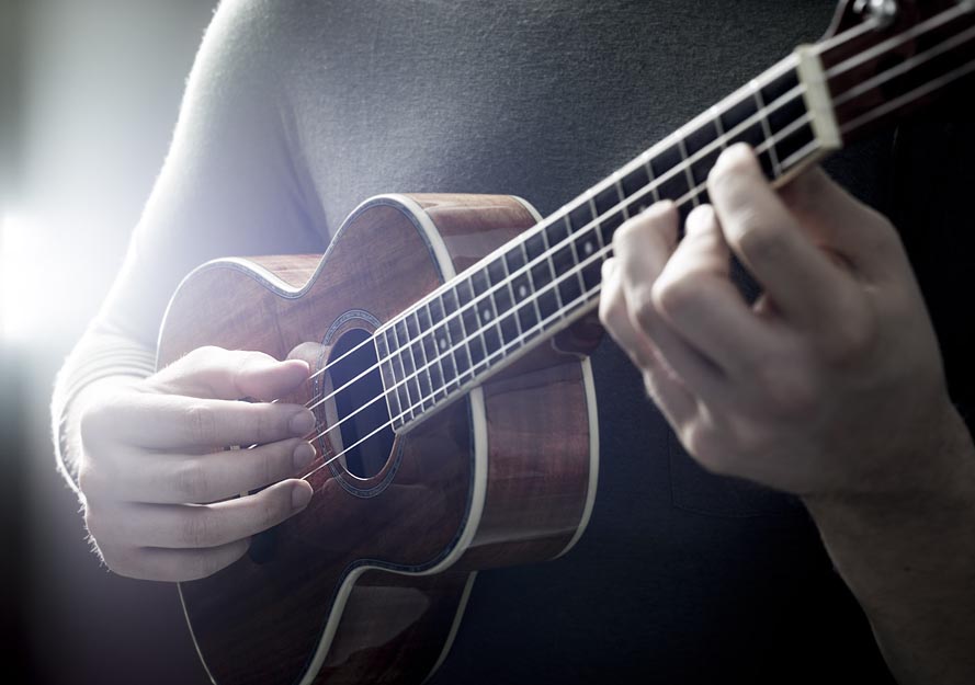 Sven Van Damme, musician